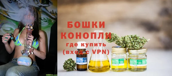 apvp Бородино
