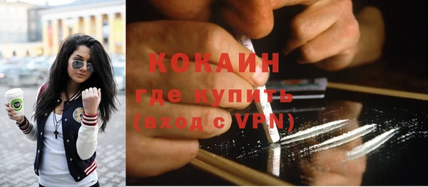 apvp Бородино