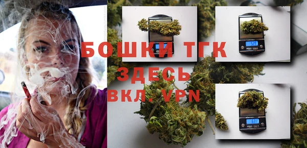 apvp Бородино