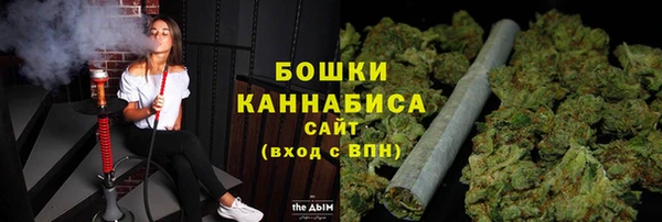 apvp Бородино